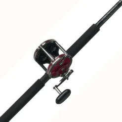 PENN Senator® Combo Rod & Reel Combos
